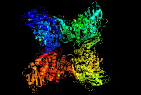 Image: Activated and unliganded RuBisCO protein from Spinach. Credit: Taylor, T.C., Andersson, I./ Wikimedia Commons