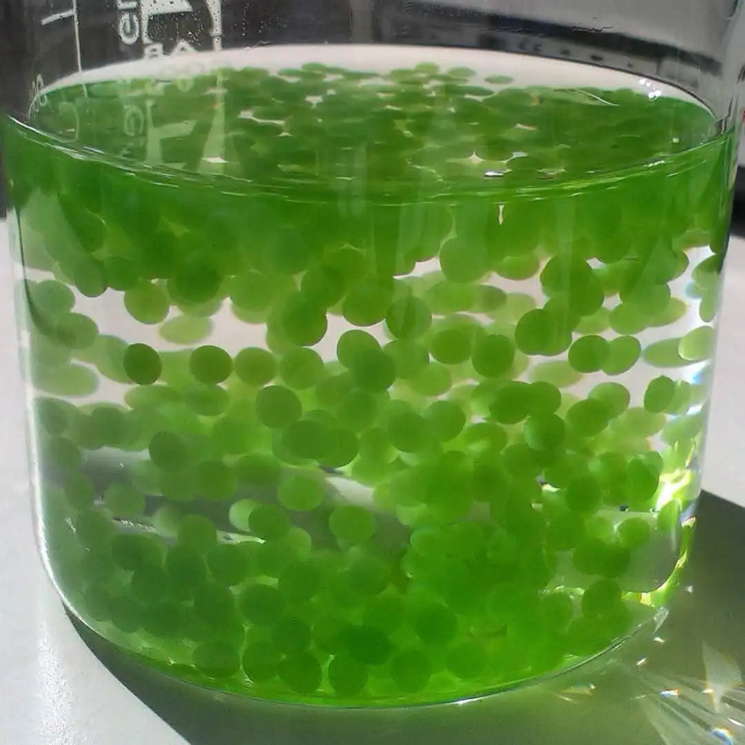 Image: Algae image. Credit: Ben Long
