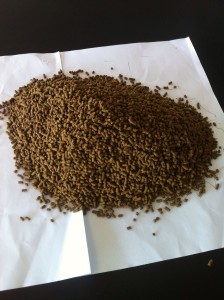 Insect based feed