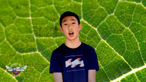 Photosynthesis rap