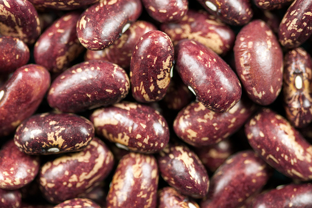 Common bean (Phaseolus vulgaris)