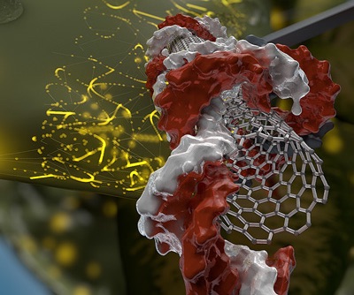 With nanotubes, genetic engineering in plants is easy-peasy