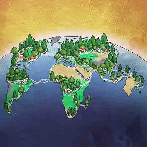 45th New Phytologist Symposium