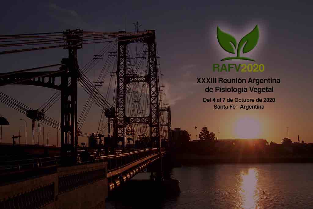 safv 2020