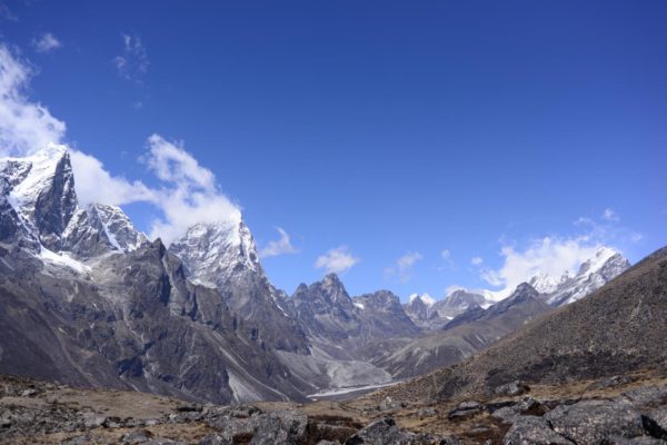 View towards Khumbu and Cholatse from below Ama Dablam at about 4,900 m showing typical subnival vegetation in the foreground
