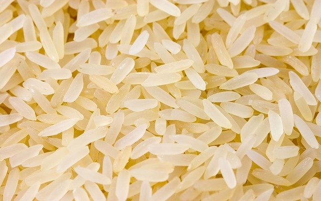 Scientists Sequence the Genome of Basmati Rice