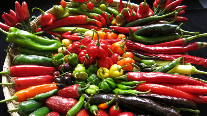 Study of chilli genetics could lead to greater variety on our plates