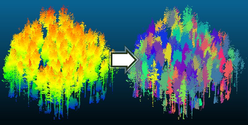 Research team introduces advance in automatic forest mapping technology