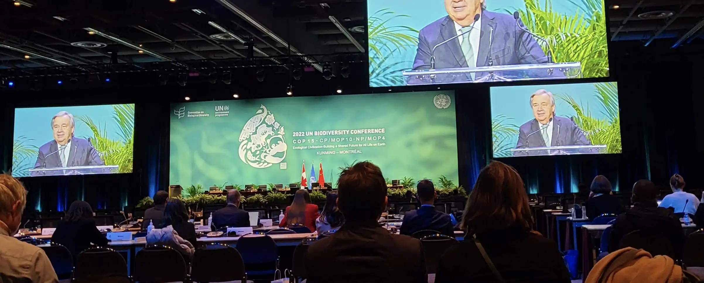 Nations reach Global Biodiversity Framework agreement at COP15: the UN conference on biodiversity
