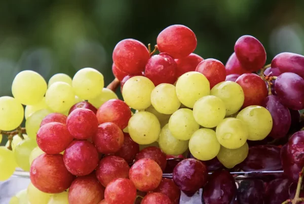 mix of different variaties of grapes