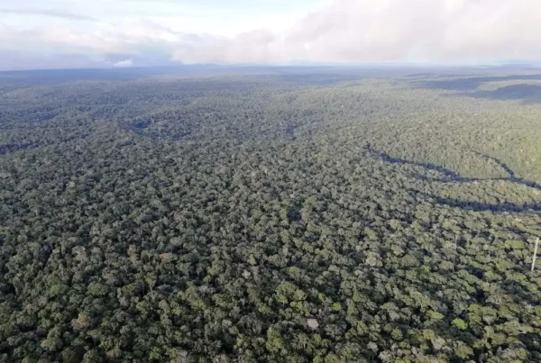 Image: The Amazon Forest seen from the Amazon Tall Tower Observatory, a scientific research facility in the Amazon rainforest of Brazil. Credit: Dr Jess Baker, University of Leeds.