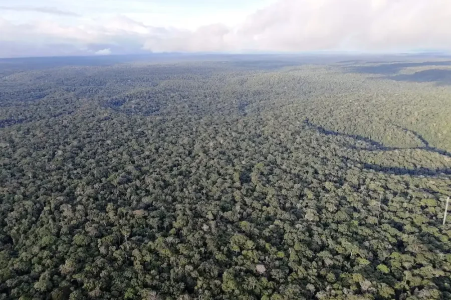 Image: The Amazon Forest seen from the Amazon Tall Tower Observatory, a scientific research facility in the Amazon rainforest of Brazil. Credit: Dr Jess Baker, University of Leeds.