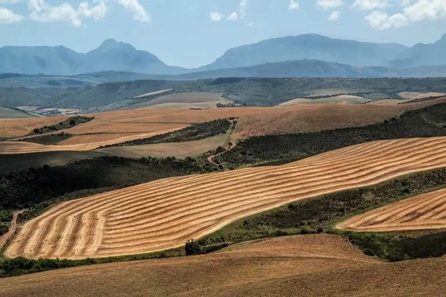Image: South African landscape, including wheat fields and harvest. Credit: Steve Buissinne / Pixabay