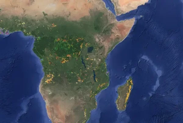 Image: Section of the world map focussing on Africa. Many coloured dots mark the location and type of different forms of land use after deforestation. Credit: Screenshot of the App https://robertnag82.users.earthengine.app/view/africalu