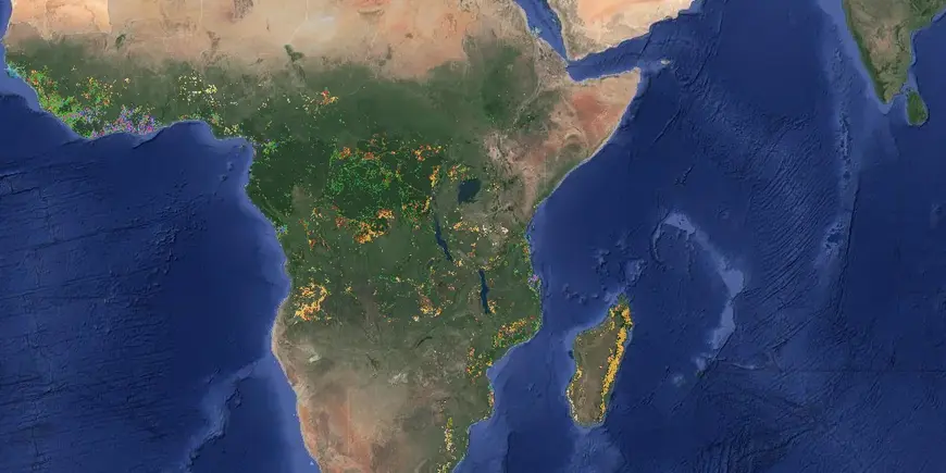 Mapping how deforested land in Africa is used