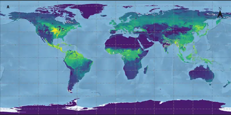 New satellite dataset sheds light on Earth’s plant growth