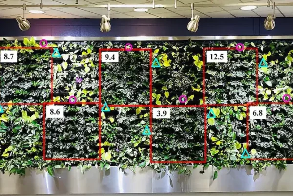 Image: Green wall experimental design used for Expt. 1. The six blocks of treatments with the three spiderwort selections of zebra plant, ‘Burgundy’ zebra plant, and inch plant are denoted with red squares, placement of light/temperature sensors (one per block) are shown with magenta circles, sentinel pots used to determine need for irrigation are shown with blue triangles (eight dispersed throughout the green wall), and average light levels (µmol·m−2·s−1) per block are reported in white boxes. Average light levels were determined by averaging the light reading at each pot location in each block. Credit: American Society for Horticultural Science
