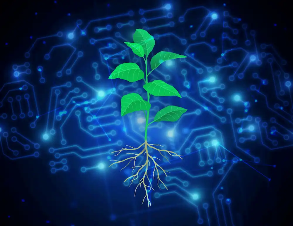 Artificial intelligence helps scientists engineer plants to fight climate change