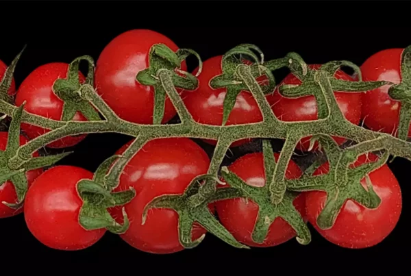 title= research topics on plants