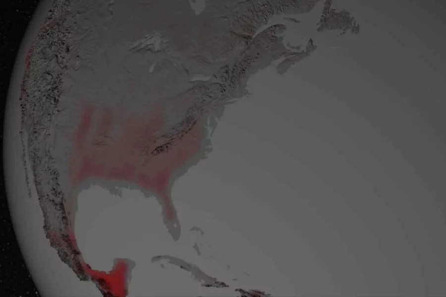 Image: Growing plants emit a form of light detectable by NASA satellites orbiting hundreds of miles above Earth. Parts of North America appear to glimmer in this visualization, depicting an average year. Gray indicates regions with little or no fluorescence; red, pink, and white indicate high fluorescence. Credit: NASA’s Scientific Visualization Studio