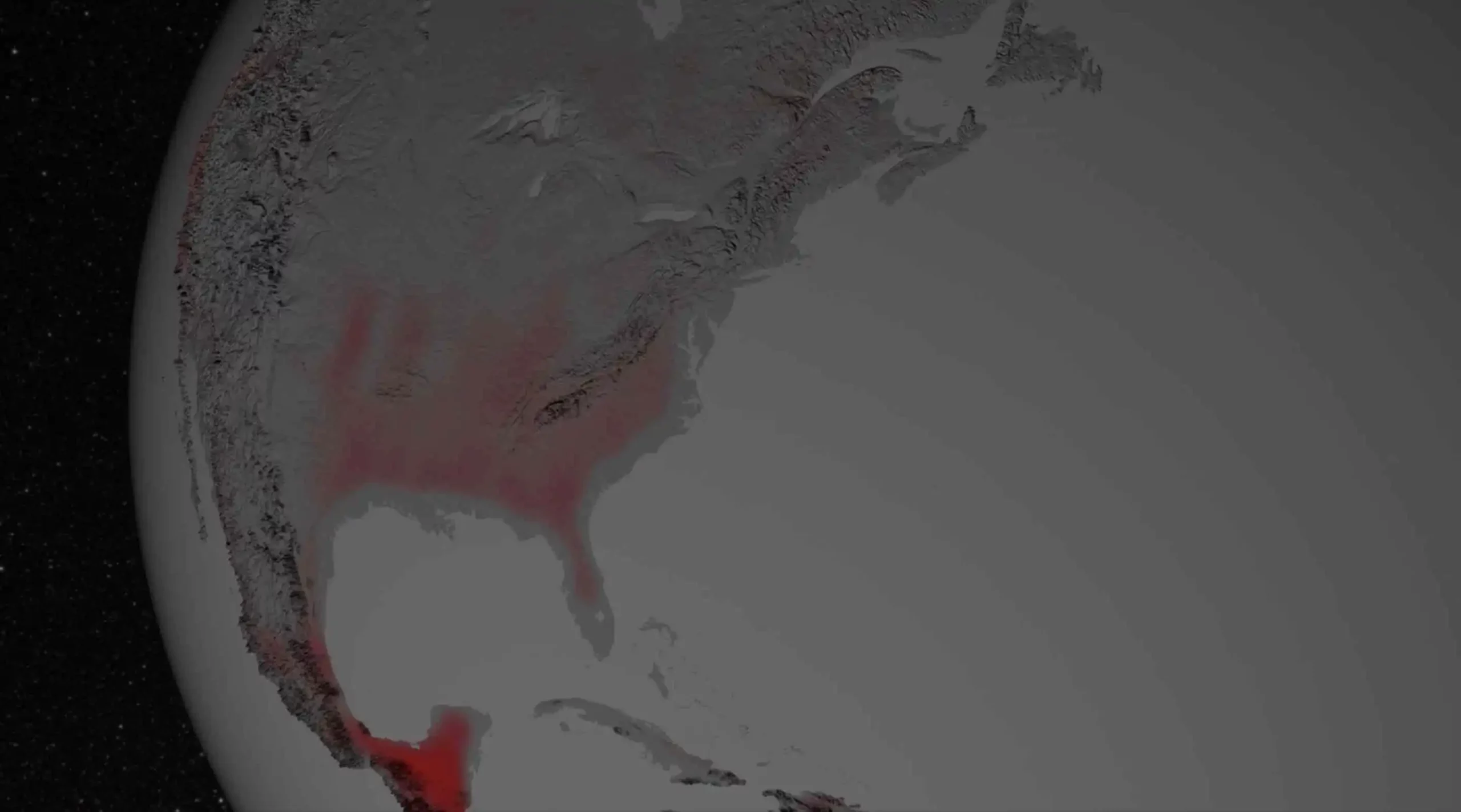 Image: Growing plants emit a form of light detectable by NASA satellites orbiting hundreds of miles above Earth. Parts of North America appear to glimmer in this visualization, depicting an average year. Gray indicates regions with little or no fluorescence; red, pink, and white indicate high fluorescence. Credit: NASA’s Scientific Visualization Studio