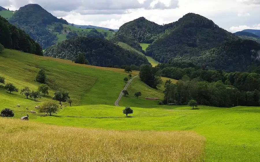 Image: Grassland dominates the landscape, which is also a key ecosystem service. Credit: Valentin Klaus / ETH Zurich