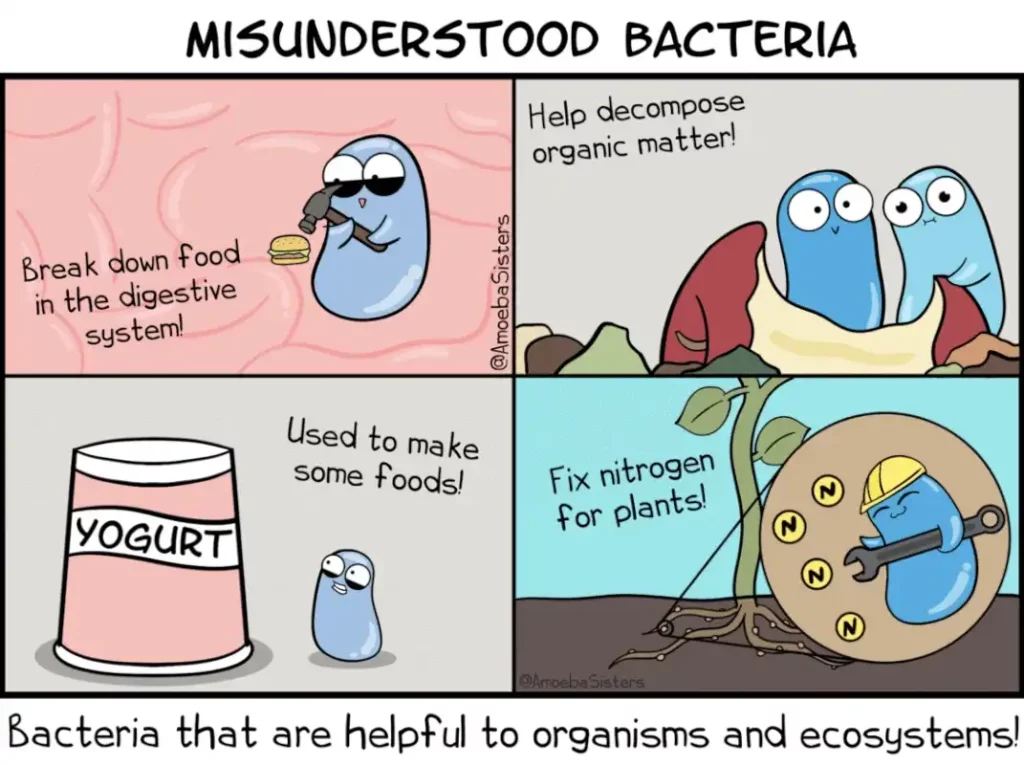 Illustration credits: The Amoeba Sisters (https://www.amoebasisters.com)