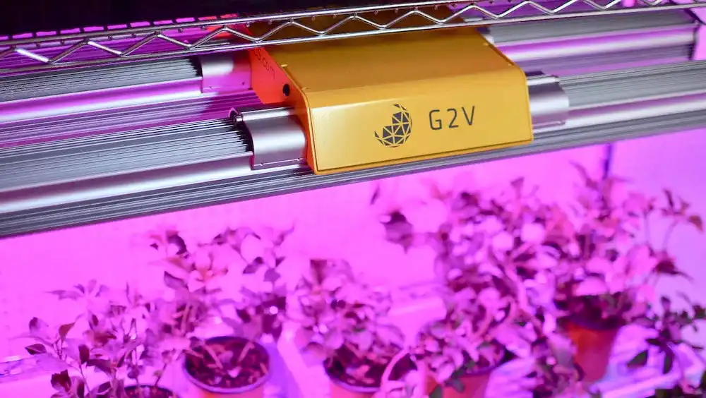 Image: Growth chamber equipped with six-band programmable LED lights. Credit: G2V Optics