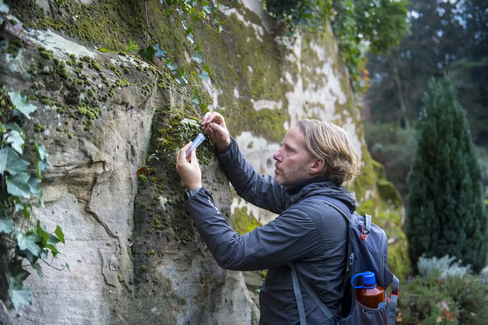 Surprising insight into cancer comes from unique plant species with different solutions to evolutionary challenges