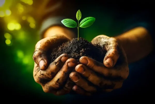 Image: Ai Generated Growth Seedling royalty-free stock illustration. Credit: Chil Vera from Pixabay