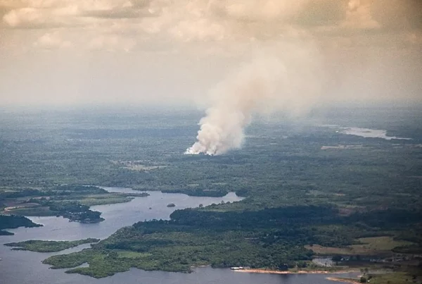 Image: The thick smoke seen in vegetation fires in the Amazon rainforest contains millions of ultrafine particles (diameters less than 50 nm), which could seed cloud droplets and intensify heavy rain in the atmosphere. Current understanding is that smoke from burning biomass does not include ultrafine particles although larger particles (>100 nm diameter) are known to be prevalent. Credit: Jason Tomlinson/Pacific Northwest National Laboratory