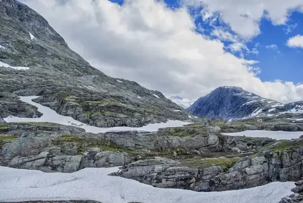 Image: Liquen and mosses on a snow landscape. Credit: Enrique / Pixabay