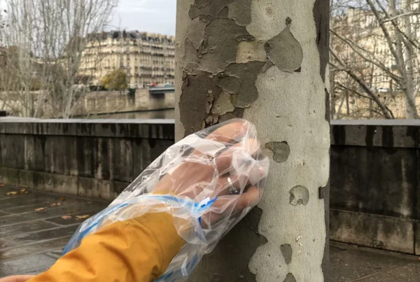 Image: Volunteers in Paris are collecting bark samples from the city’s plane trees as part of the Ecorc’Air project. Credit: Aude Isambert