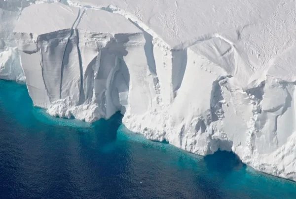 Image: Melt rates in the Amundsen Sea, such as from the Getz Ice Shelf (pictured), would be higher without the influence of nearby phytoplankton blooms, according to new modeling. Credit: NASA/Jeremy Harback