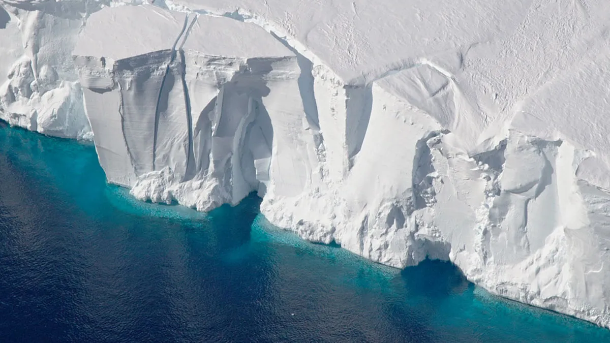 Phytoplankton Shield Ice Shelves from Summer Heat