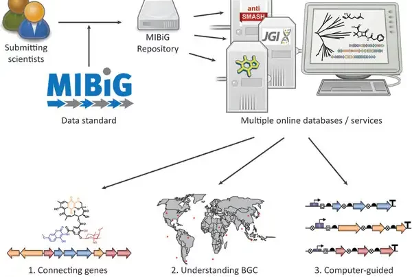 Image: MIBiG database