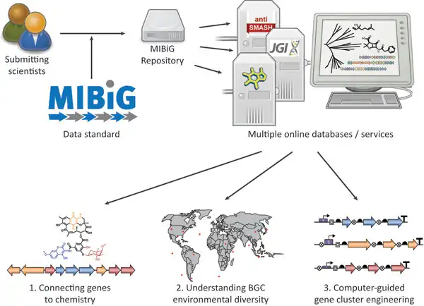 The Minimum Information about a Biosynthetic Gene cluster (MIBiG) database