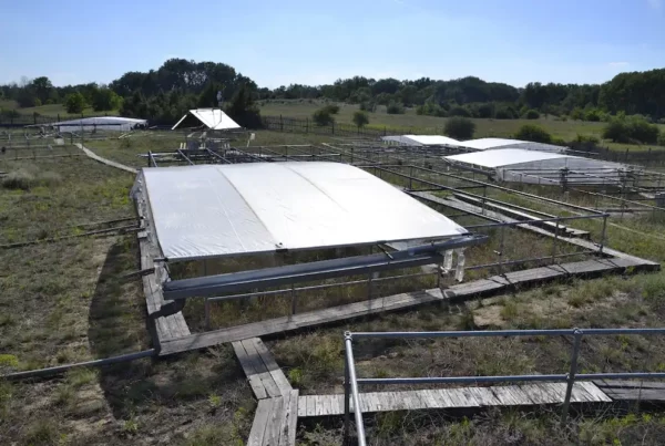 Image: The experimental area in Fülöpháza, Central Hungary.  Chronic precipitation treatments (along with decreasing aridity: severe drought, moderate drought, control and water addition) simulates changes in precipitation that have occurred several times historically. The image shows severe drought management, which excludes all rainfall from late June to late August. Prior to chronic treatments, half of the plots were exposed to an extreme treatment which simulated a drought unprecedented since the beginning of regional measurements. Credit: HUN-REN Centre for Ecological Research