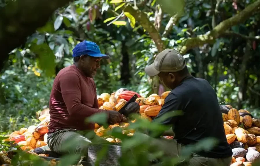 Image credit: University of Oxford