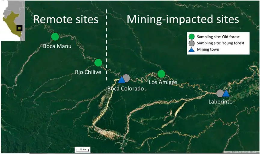 Image credit: Frontiers in Environmental Science