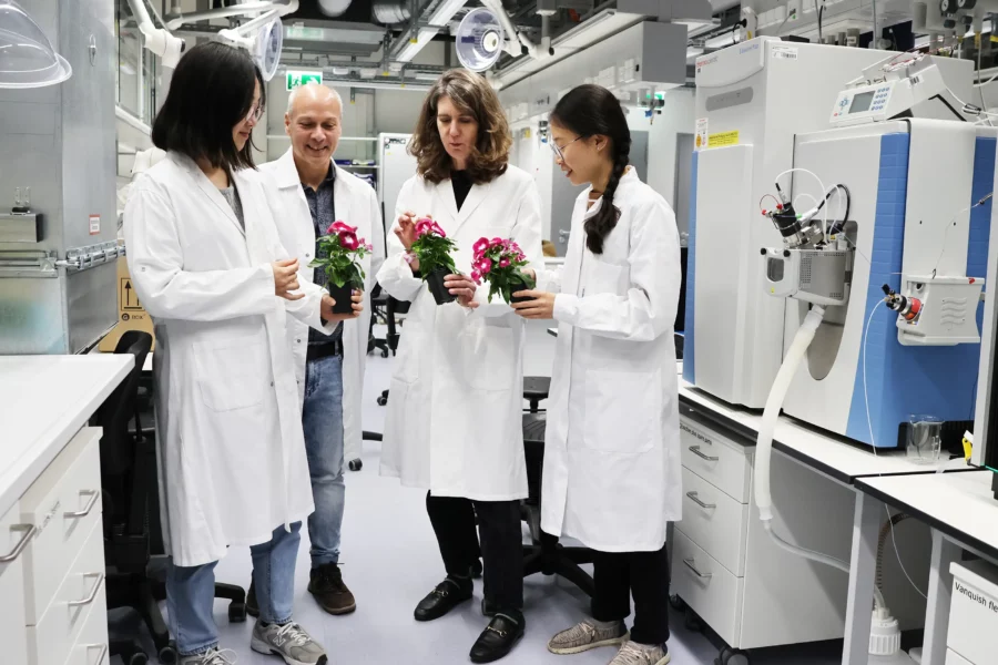 Image: From left to right: Moonyoung Kang, Lorenzo Caputi, Sarah O’Connor and Hai Anh Vu, holding Catharanthus roseus plants, are standing next to a liquid chromatography/mass spectrometry (LC/MS) system. This system is used to analyze metabolites in single cells. Credit: Angela Overmeyer