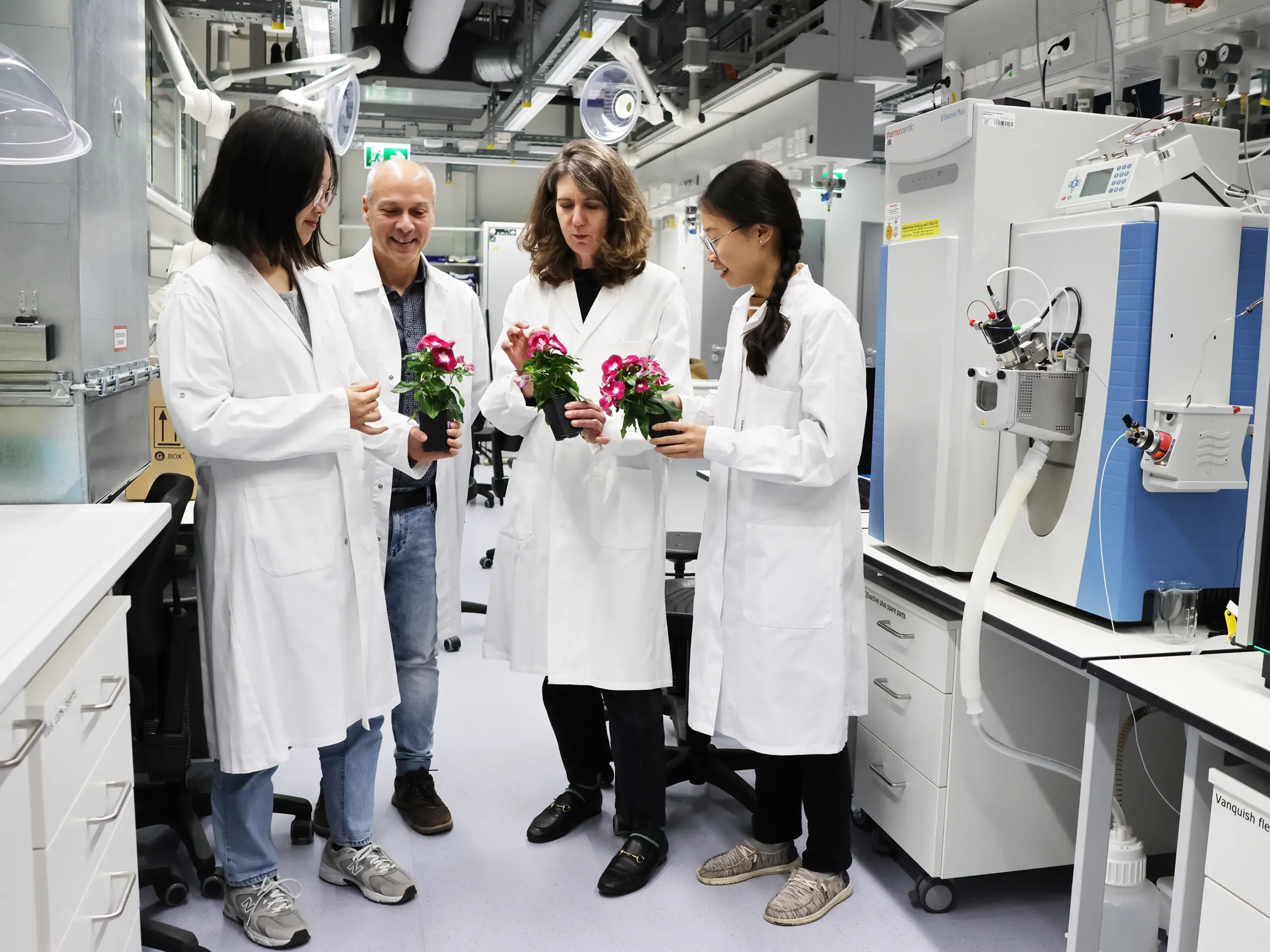 Image: From left to right: Moonyoung Kang, Lorenzo Caputi, Sarah O’Connor and Hai Anh Vu, holding Catharanthus roseus plants, are standing next to a liquid chromatography/mass spectrometry (LC/MS) system. This system is used to analyze metabolites in single cells. Credit: Angela Overmeyer